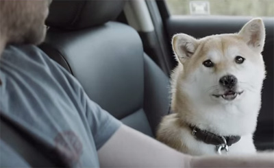 Honda HR-V - Dream Run