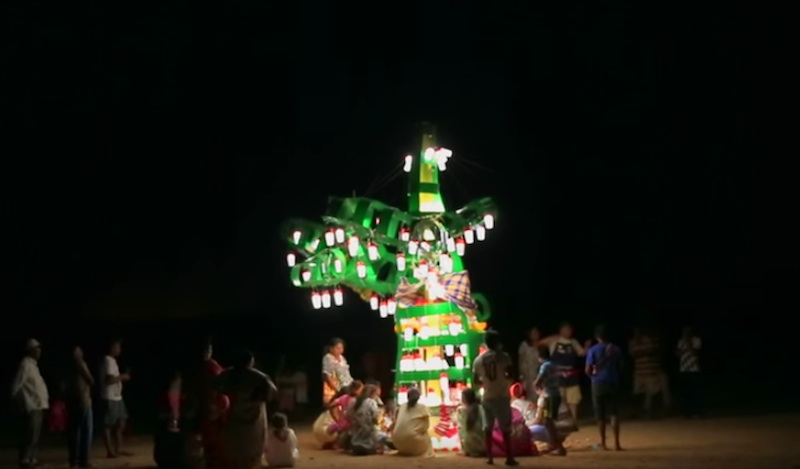 Kai tree light up the days of Colombians