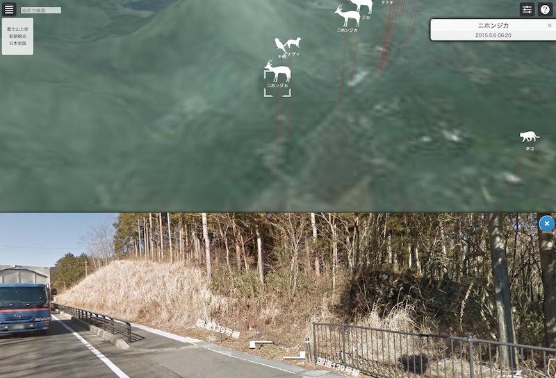 富士山動物交通事故死マップ