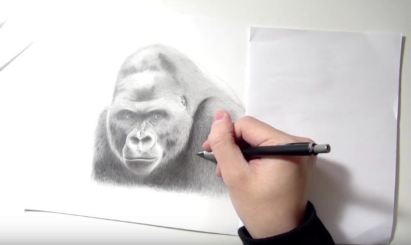 シャー神が描くイケメンゴリラ/Metrosexual Gorilla drawn with a mechanical pencil.