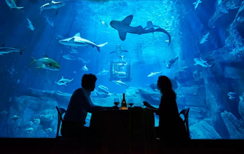 L'aquarium de Paris avec 35 requins