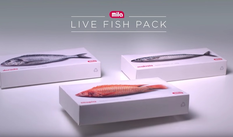 THE LIVE FISH PACK