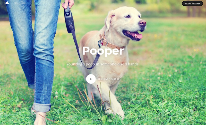 Pooper
