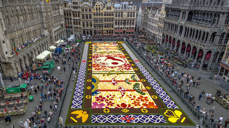 Brussels - FlowerCarpet 2016