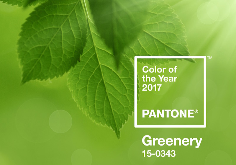 Color of the Year 2017 PANTONE 15-0343 Greenery