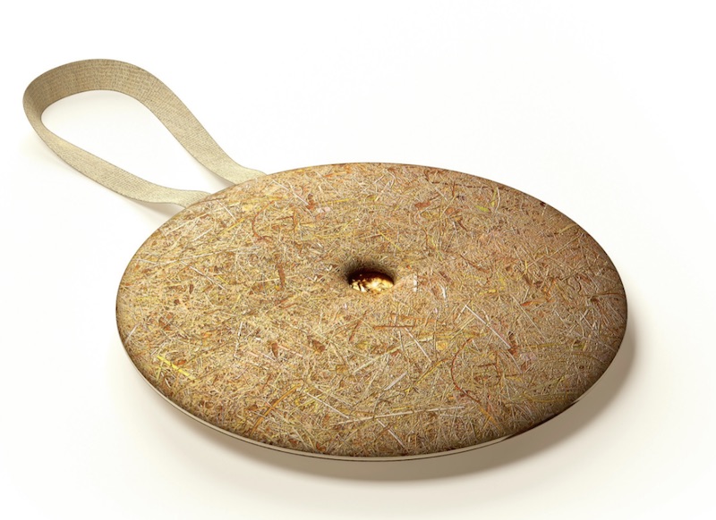 The Paris 2024 Olympic Medal