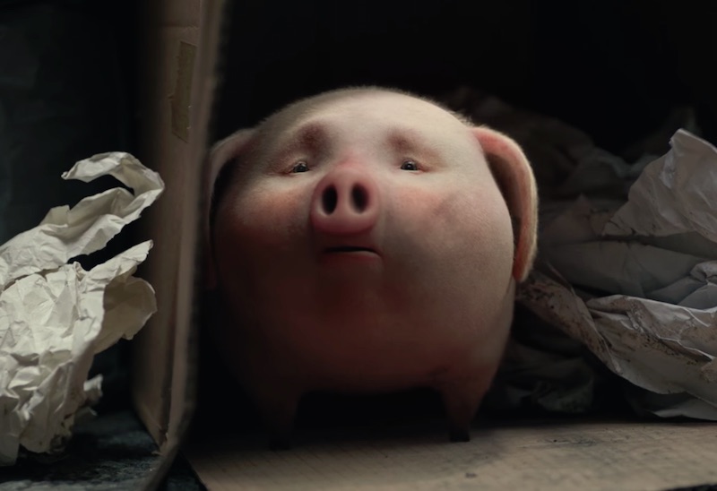 Santander Bank - Piggy