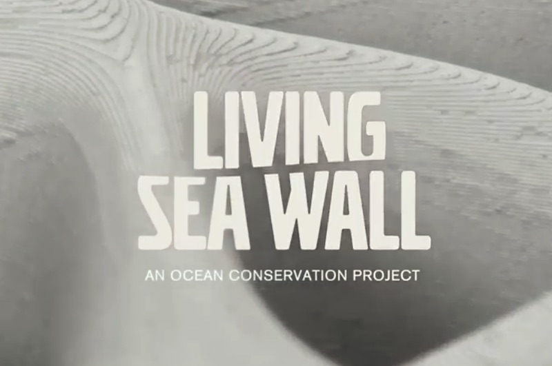 Living Seawall – re-thinking sustainability