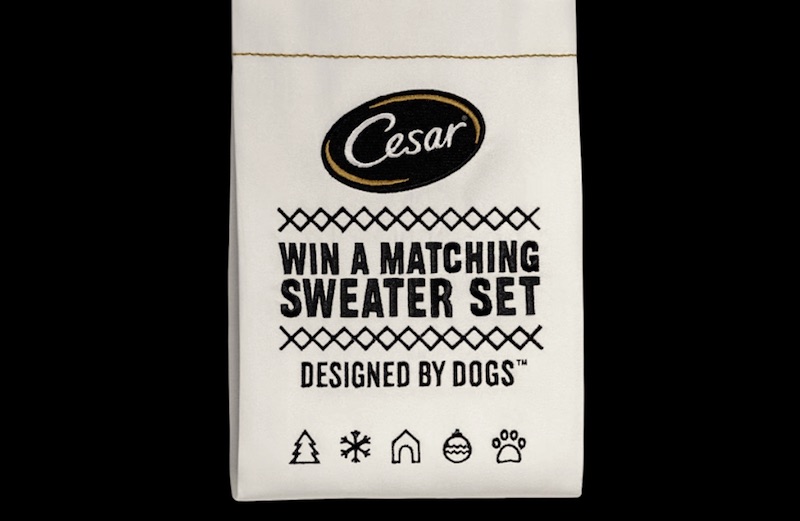 CESAR® #TWINNING, the sweater collection