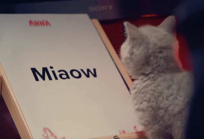 The world's first miaowing debit card | ANNA Money