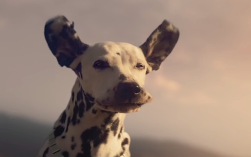 Budweiser | Wind Never Felt Better