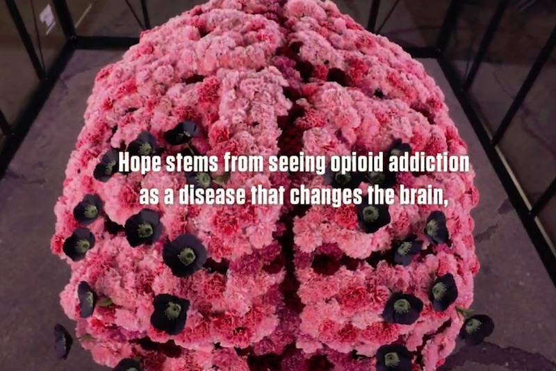 Hope stems from seeing opioid addiction differently