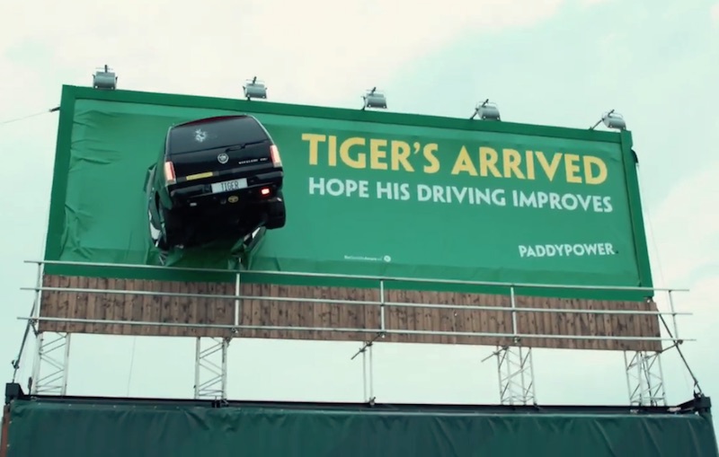 Tiger's Arrived