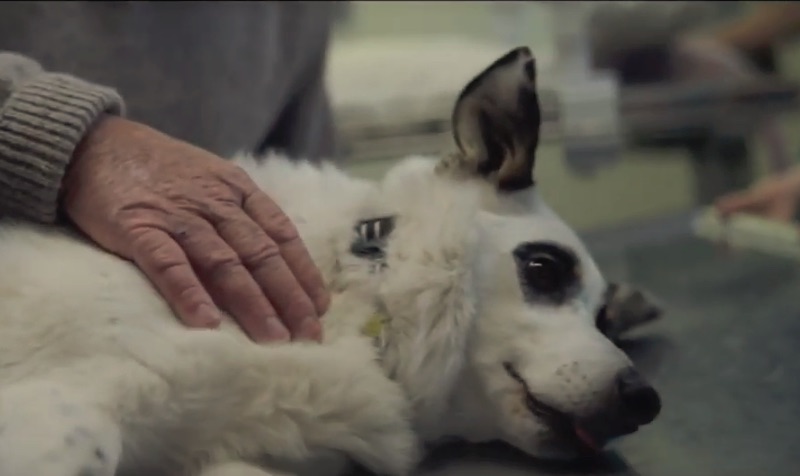 Huxley – Life to the power of 5G