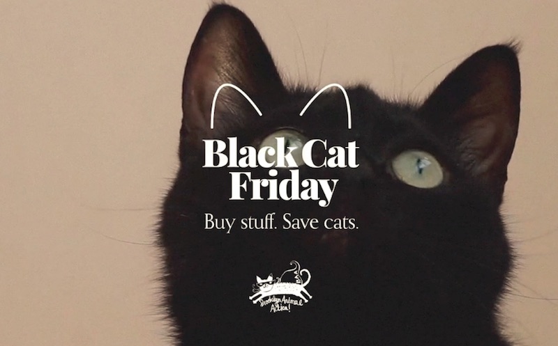 Black Cat Friday