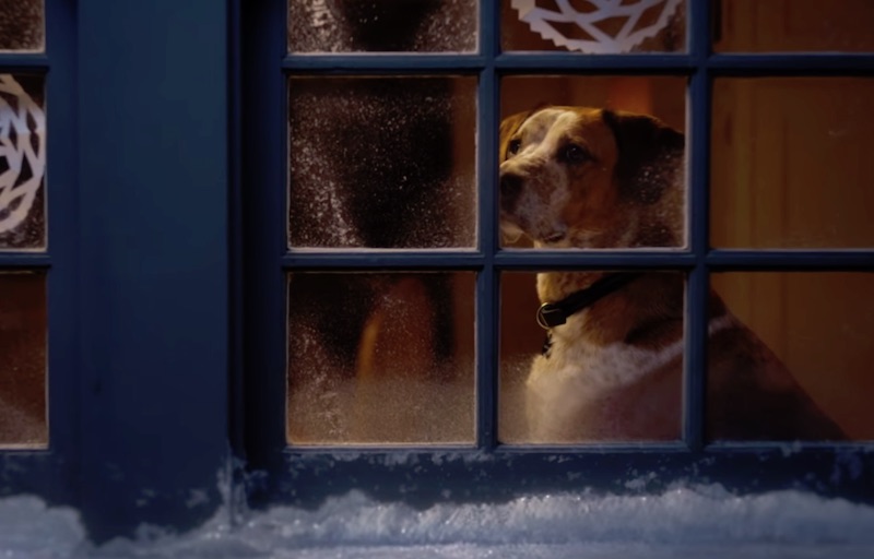 Microsoft Holiday Commercial 2020 – Find Your Joy (A Dog’s Dream)