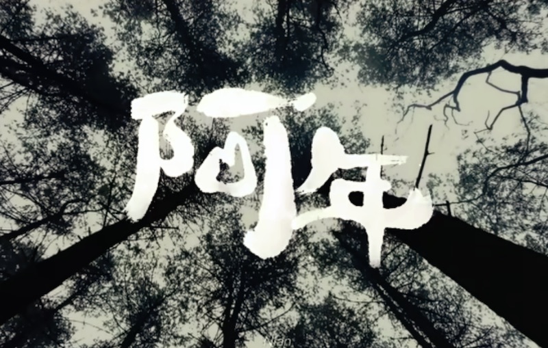 Shot on iPhone 12 Pro Max I Chinese New Year – Nian