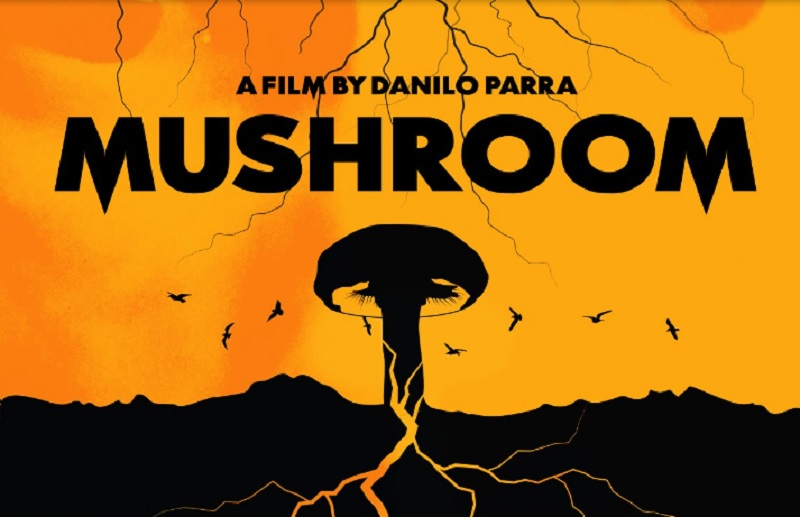 Mushroom | A film by Danilo Parra
