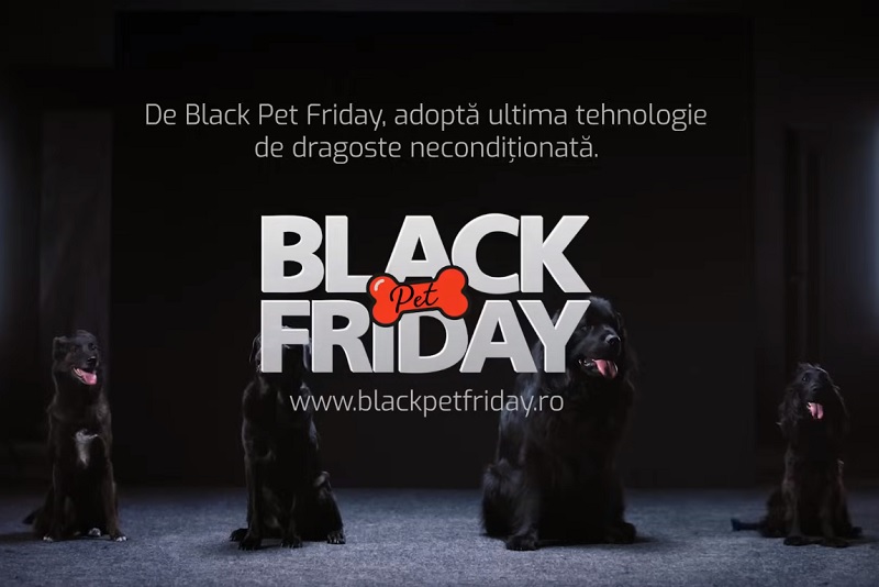 Black Pet Friday Kola Kariola