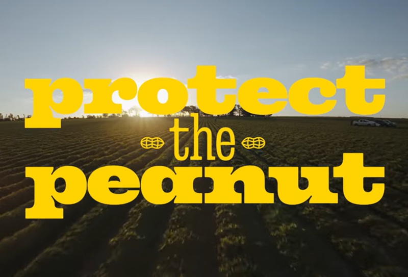 Protect the Peanuts – Documentary